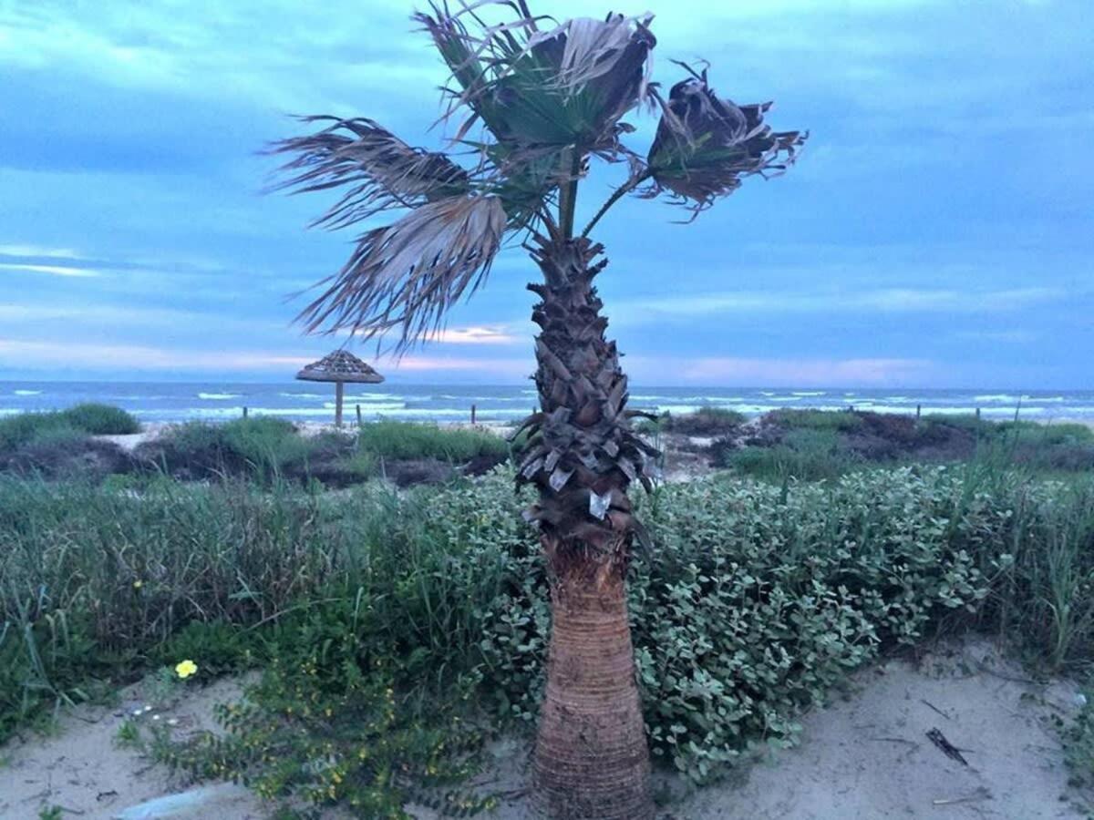Fun In The Sun! Cozy Beach Pad, Gulf Views And Easy Access To The Sand! Surfside Beach Dış mekan fotoğraf